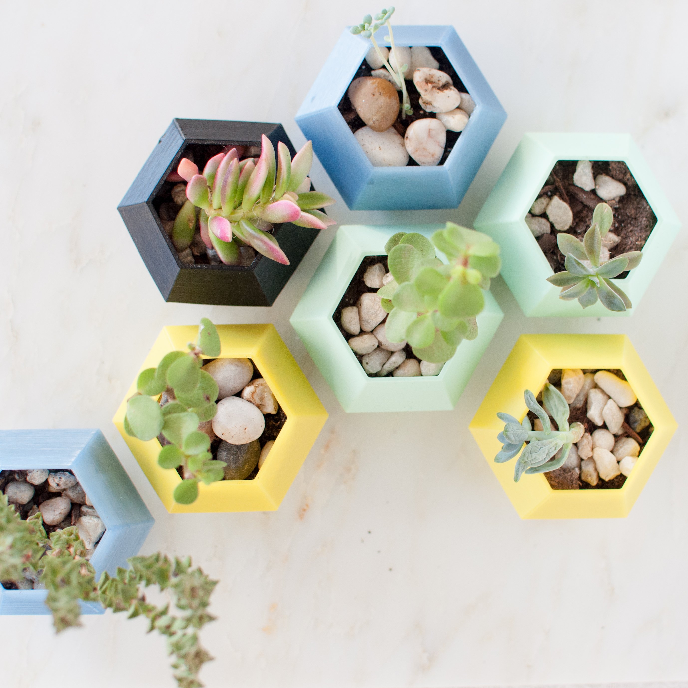 Cenikli Geometrik Dekoratif Sukulent Saksısı ve Mini Bitki Saksısı