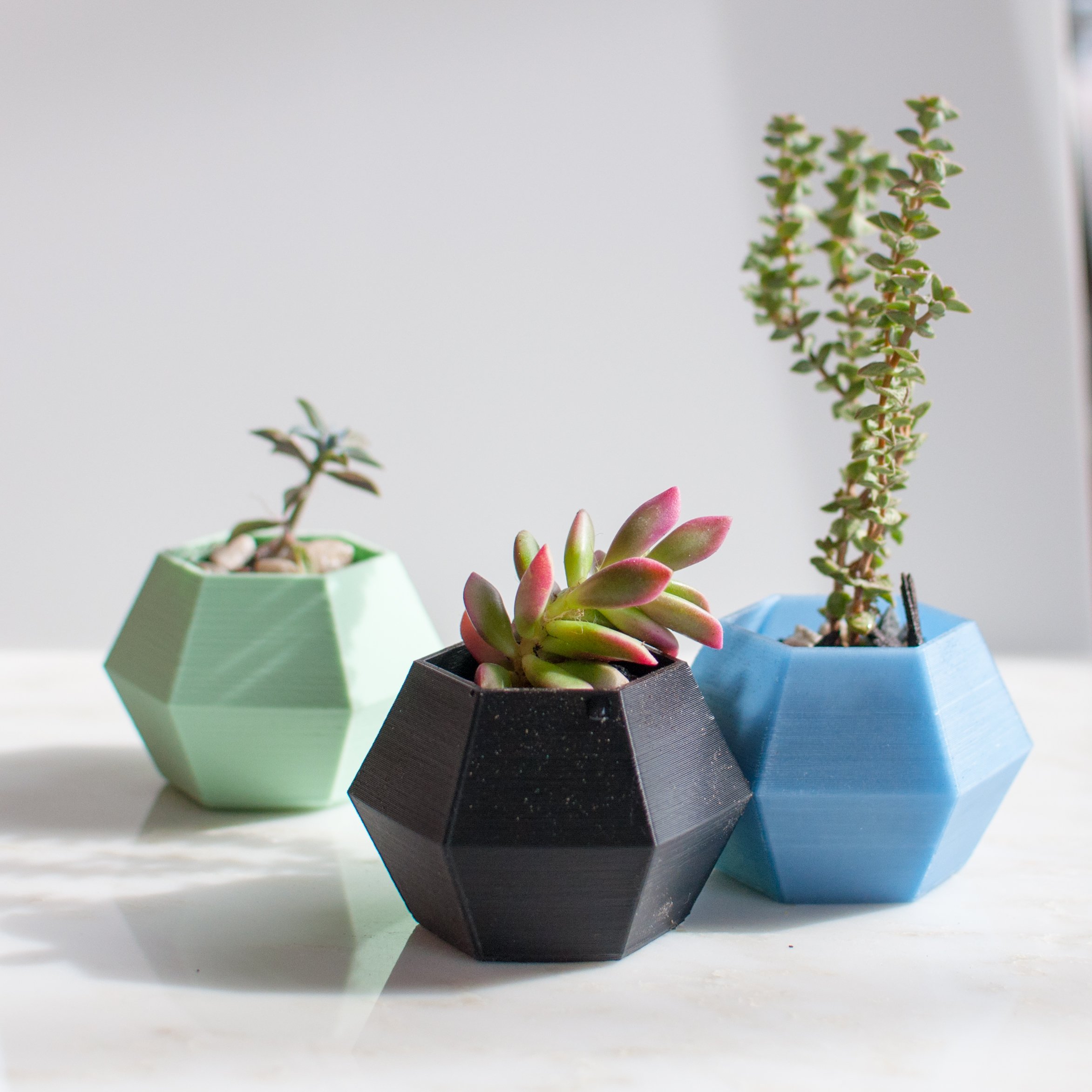 Hexagonplanters 1