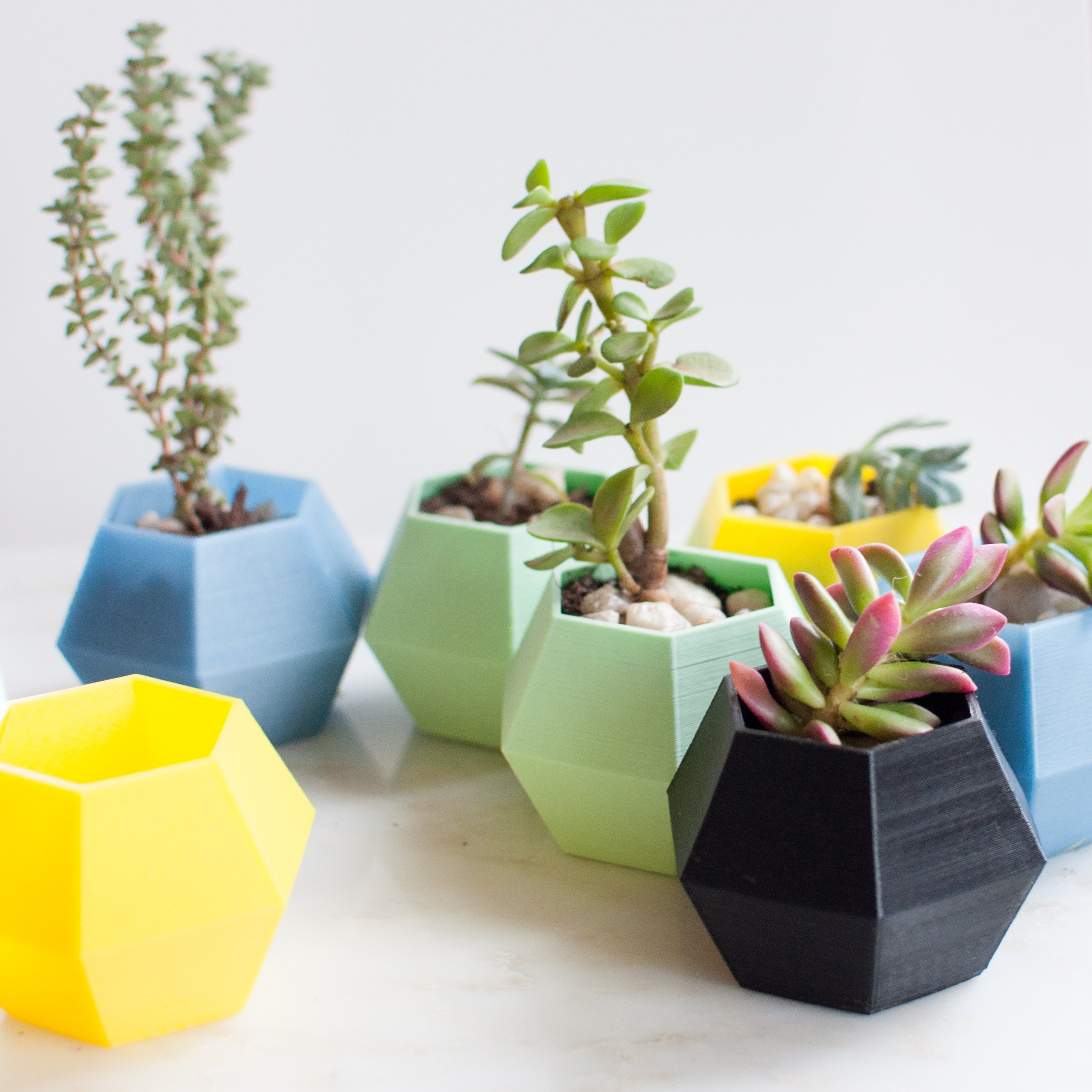 Hexagonplanters 2